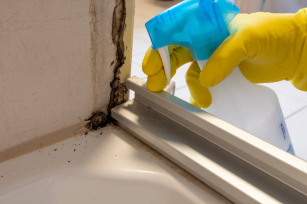 Mold Testing and Removal in Northville, NY